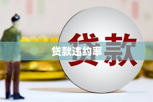 正安贷款违约率
