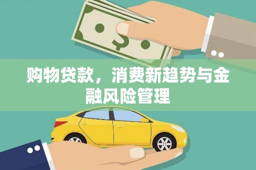 正安购物贷款，消费新趋势与金融风险管理