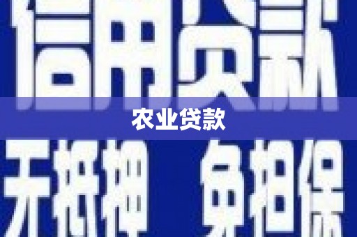 正安农业贷款