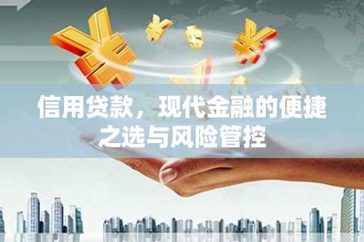 正安信用贷款，现代金融的便捷之选与风险管控