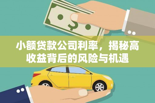正安小额贷款公司利率，揭秘高收益背后的风险与机遇