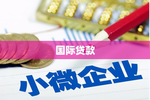 正安国际贷款