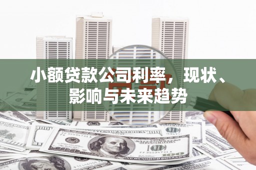 正安小额贷款公司利率，现状、影响与未来趋势