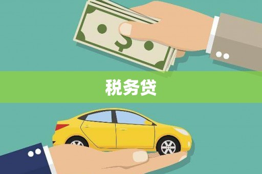 正安税务贷