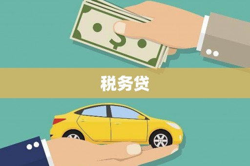 正安税务贷