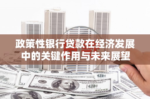 正安政策性银行贷款在经济发展中的关键作用与未来展望