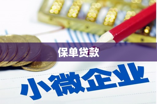 正安保单贷款