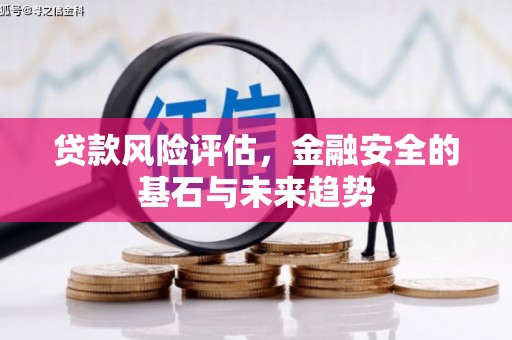 正安贷款风险评估，金融安全的基石与未来趋势