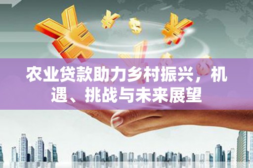 正安农业贷款助力乡村振兴，机遇、挑战与未来展望