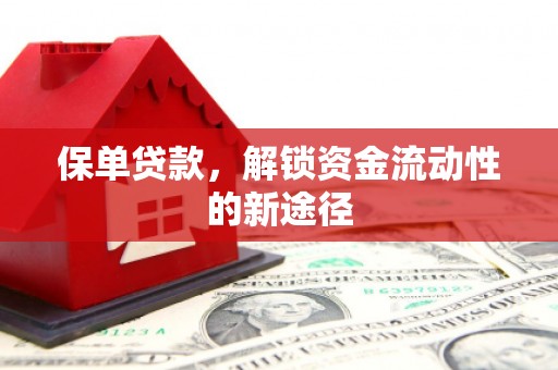 正安保单贷款，解锁资金流动性的新途径