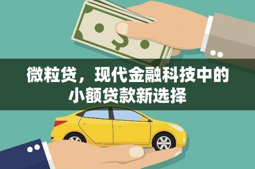 正安微粒贷，现代金融科技中的小额贷款新选择