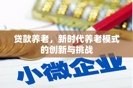 正安贷款养老，新时代养老模式的创新与挑战