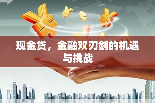 正安现金贷，金融双刃剑的机遇与挑战