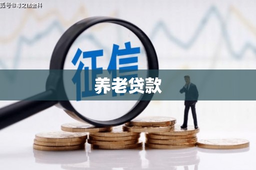 正安养老贷款