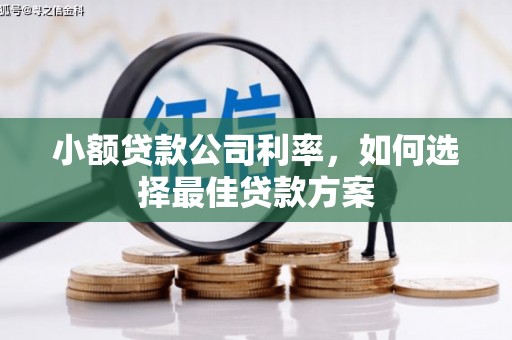 正安小额贷款公司利率，如何选择最佳贷款方案