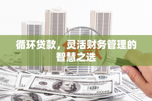 正安循环贷款，灵活财务管理的智慧之选