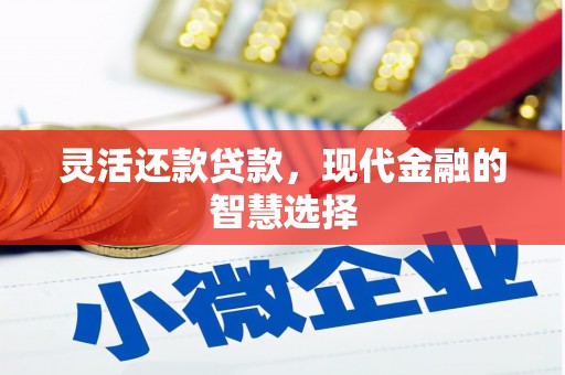 正安灵活还款贷款，现代金融的智慧选择