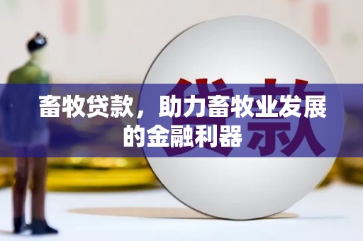 正安畜牧贷款，助力畜牧业发展的金融利器
