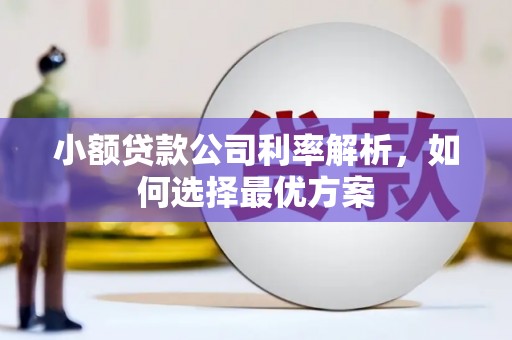 正安小额贷款公司利率解析，如何选择最优方案