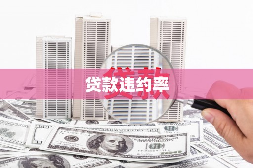 正安贷款违约率