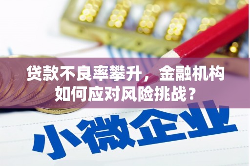 正安贷款不良率攀升，金融机构如何应对风险挑战？
