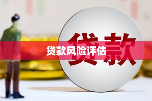 正安贷款风险评估