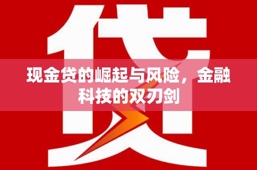正安现金贷的崛起与风险，金融科技的双刃剑