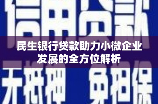 正安民生银行贷款助力小微企业发展的全方位解析