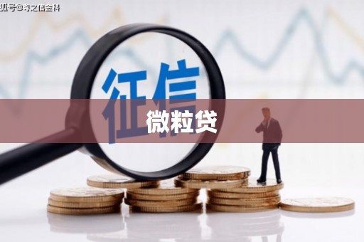 正安微粒贷
