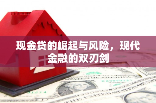 正安现金贷的崛起与风险，现代金融的双刃剑