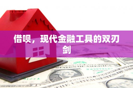 正安借呗，现代金融工具的双刃剑