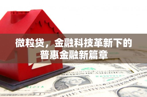 正安微粒贷，金融科技革新下的普惠金融新篇章