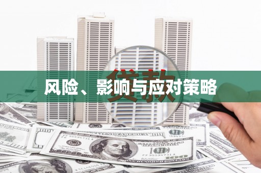 正安风险、影响与应对策略