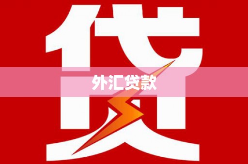 正安外汇贷款