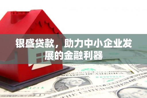 正安银盛贷款，助力中小企业发展的金融利器