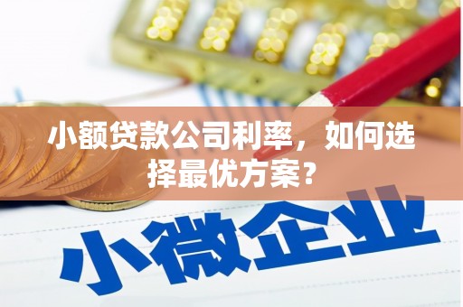 正安小额贷款公司利率，如何选择最优方案？