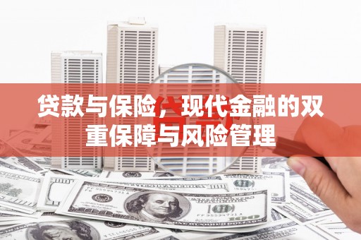 正安贷款与保险，现代金融的双重保障与风险管理