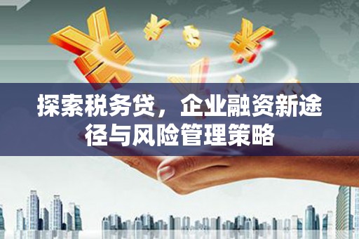 正安探索税务贷，企业融资新途径与风险管理策略
