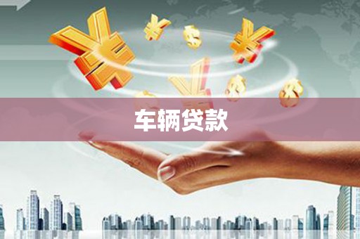正安车辆贷款