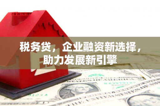 正安税务贷，企业融资新选择，助力发展新引擎