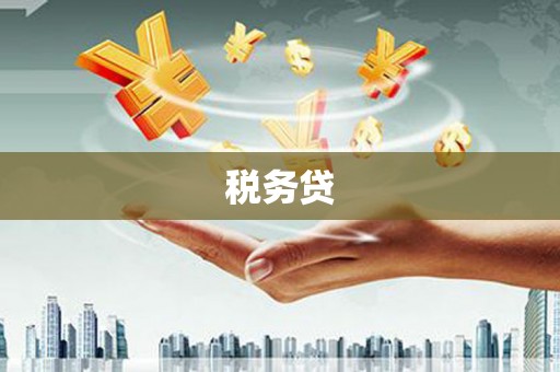 正安税务贷