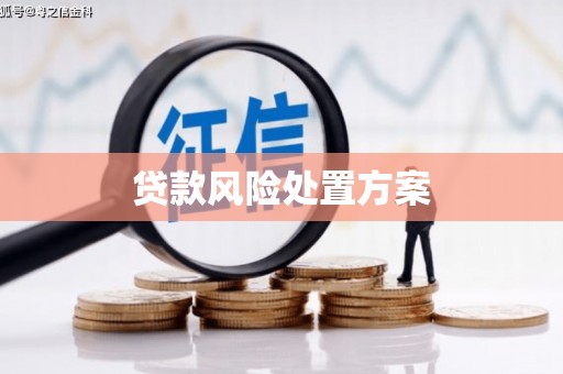 正安贷款风险处置方案