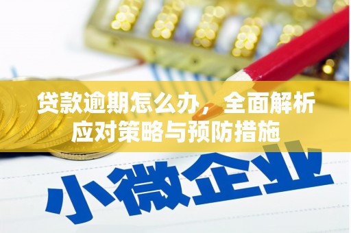 正安贷款逾期怎么办，全面解析应对策略与预防措施