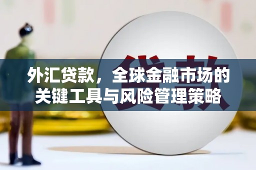 正安外汇贷款，全球金融市场的关键工具与风险管理策略