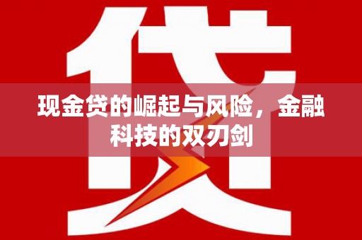 正安现金贷的崛起与风险，金融科技的双刃剑