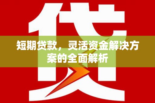 正安短期贷款，灵活资金解决方案的全面解析