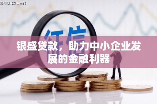 正安银盛贷款，助力中小企业发展的金融利器