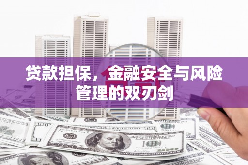 正安贷款担保，金融安全与风险管理的双刃剑