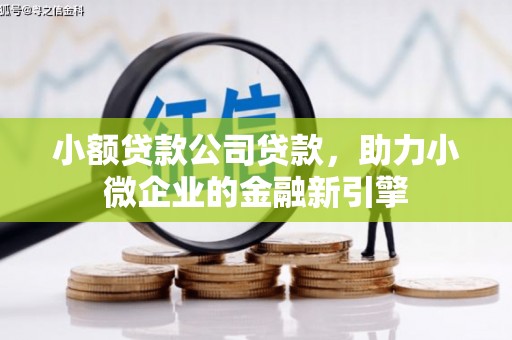 正安小额贷款公司贷款，助力小微企业的金融新引擎