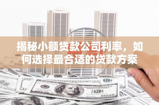 正安揭秘小额贷款公司利率，如何选择最合适的贷款方案